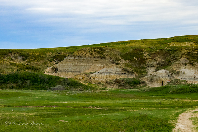 Outlaws and Effigies